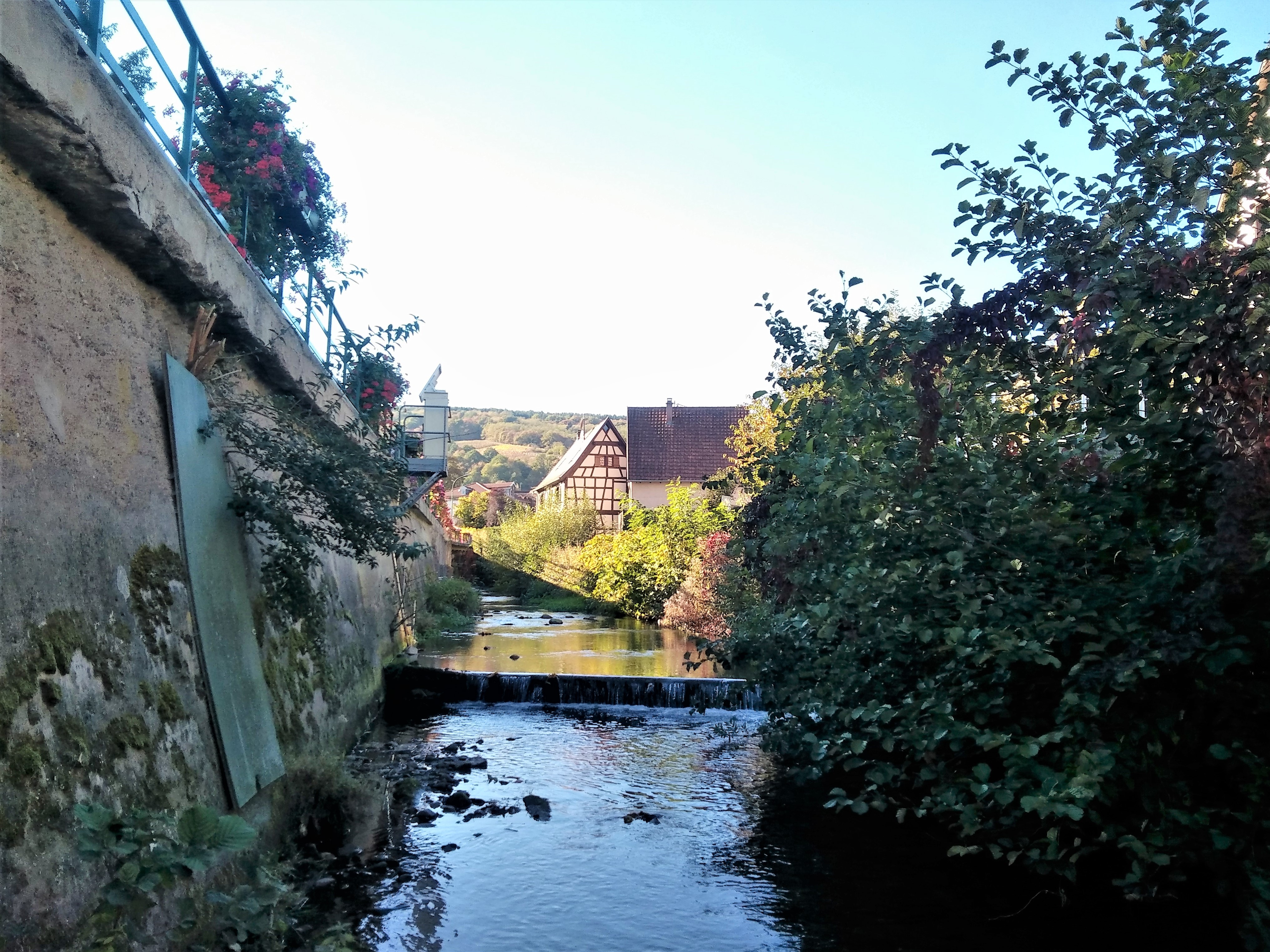 Bas niveau de l'Andlau à Andlau