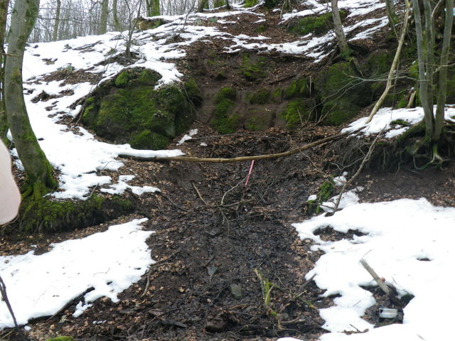 Source de la Schernetz en contrebas de l'Ungersberg