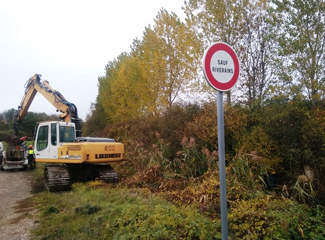 Coupe sélective des boisements à proximité des ponts