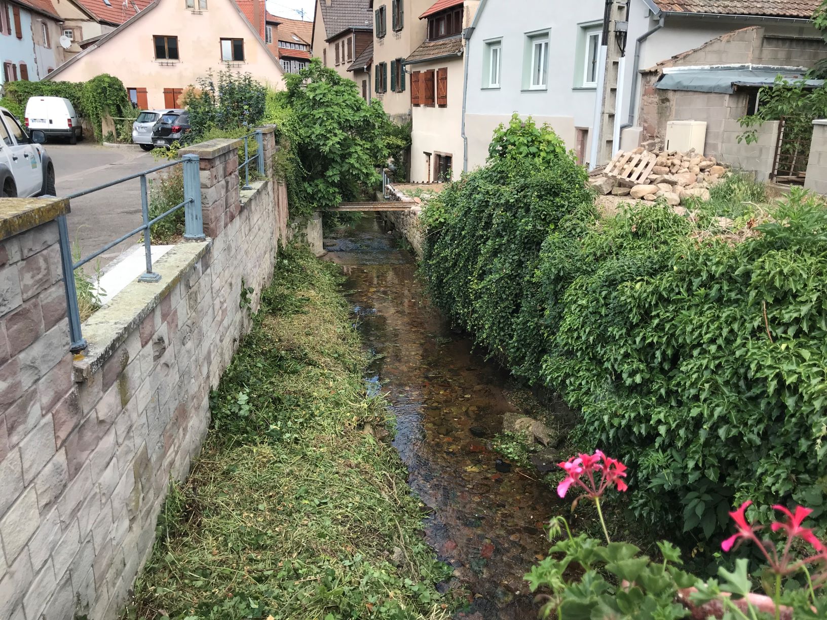 La Kirneck dans la traversée de Barr est fauchée ponctuellement.