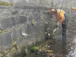 Gestion des boisements de berge