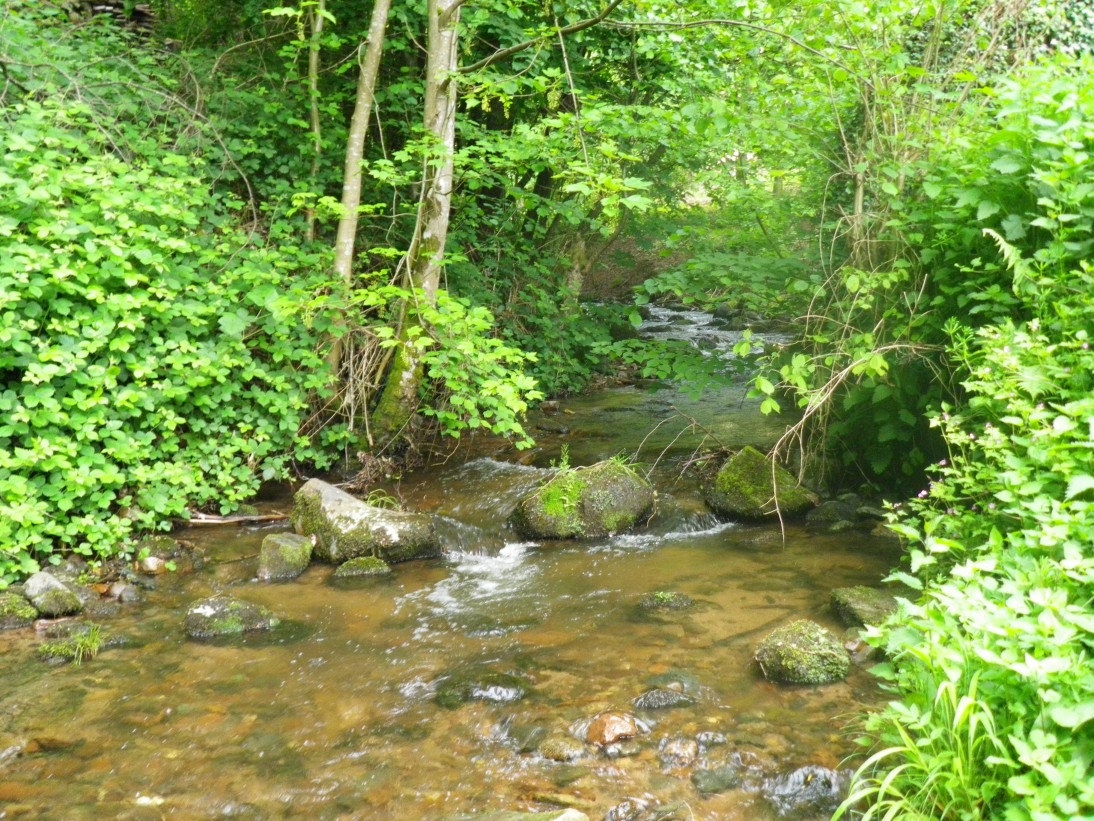 La Kirneck dans sa vallée vosgienne