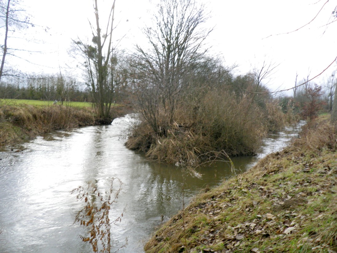 Confluence de la Kirneck avec l'Andlau